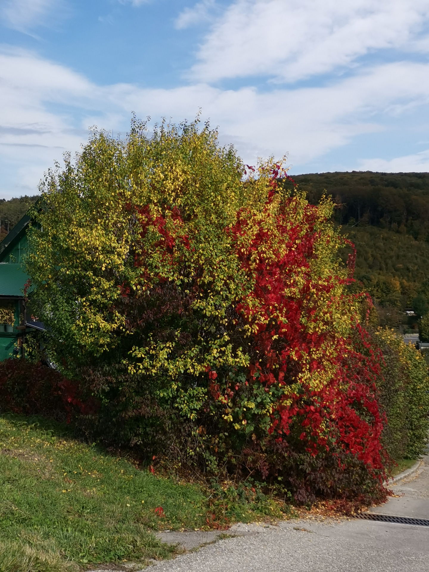 Fachgebiete Familienmediation Wienerwald
